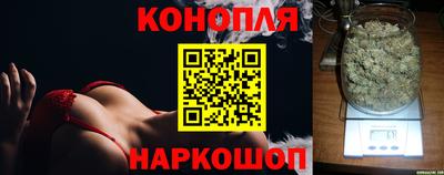 альфа пвп Гатчина