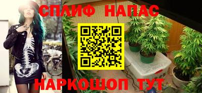 ALPHA-PVP Гай