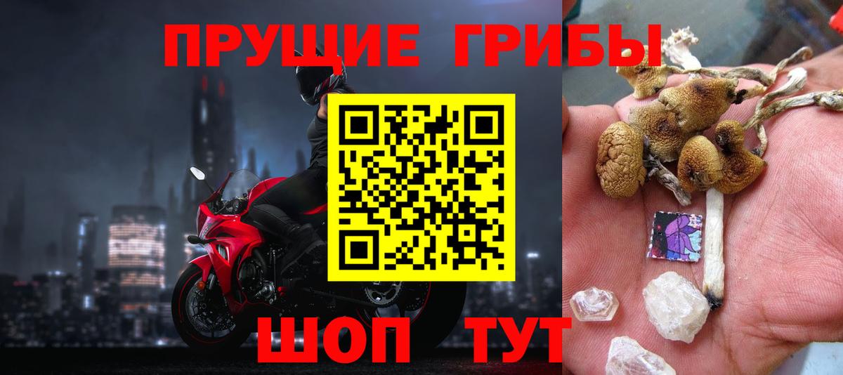 Псилоцибиновые грибы GOLDEN TEACHER  Вход с VPN  Междуреченск 