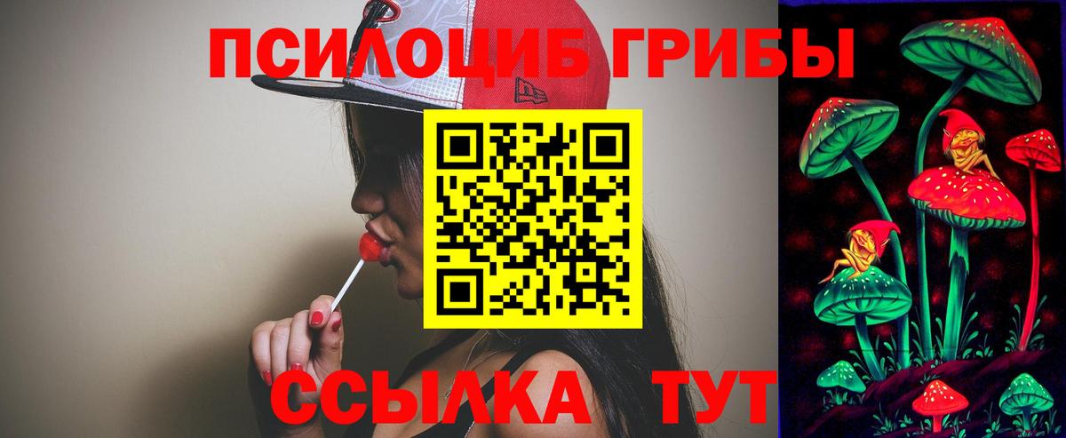 Псилоцибиновые грибы GOLDEN TEACHER Междуреченск